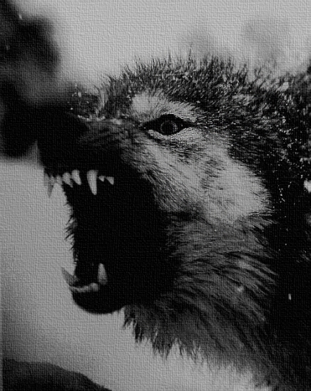 psicodependencia lobo